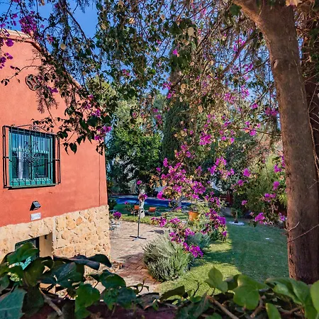 Casa Paraiso Boutique Отель типа 