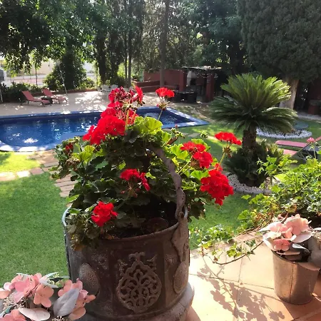 Bed and breakfast Casa Paraíso Boutique Torremolinos