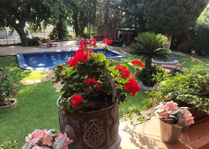 Alojamento de Acomodação e Pequeno-almoço Casa Paraíso Boutique Torremolinos