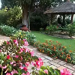 Oda ve Kahvaltı Casa Paraiso Boutique 4*